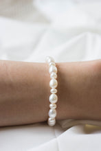 Load image into Gallery viewer, UNICUS