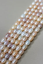 Load image into Gallery viewer, GRANUM