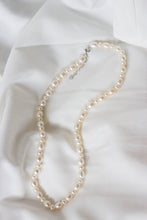 Load image into Gallery viewer, UNICUS