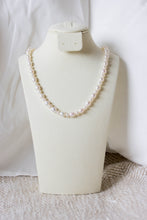 Load image into Gallery viewer, UNICUS