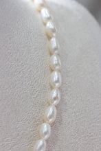 Load image into Gallery viewer, GRANUM