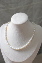 Load image into Gallery viewer, GRANUM