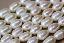 Load image into Gallery viewer, GRANUM