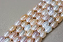 Load image into Gallery viewer, GRANUM