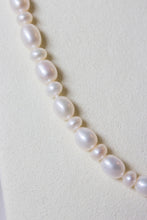 Load image into Gallery viewer, UNICUS