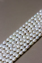 Load image into Gallery viewer, GRANUM