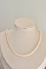 Load image into Gallery viewer, ELEGANS