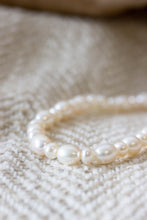 Load image into Gallery viewer, UNICUS