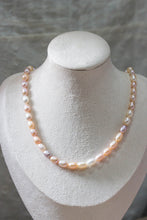 Load image into Gallery viewer, GRANUM