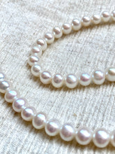 Load image into Gallery viewer, ANIMO PEARL NECKLACE